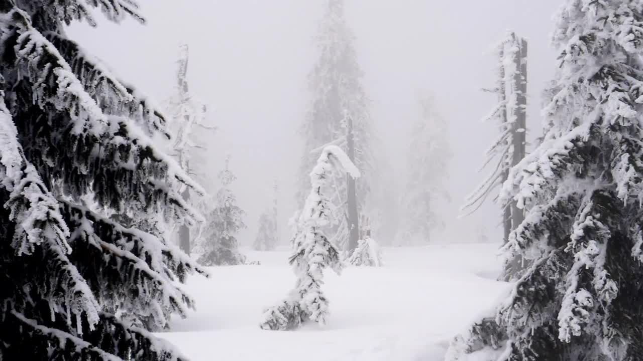 雪雾覆盖山林景色视频素材