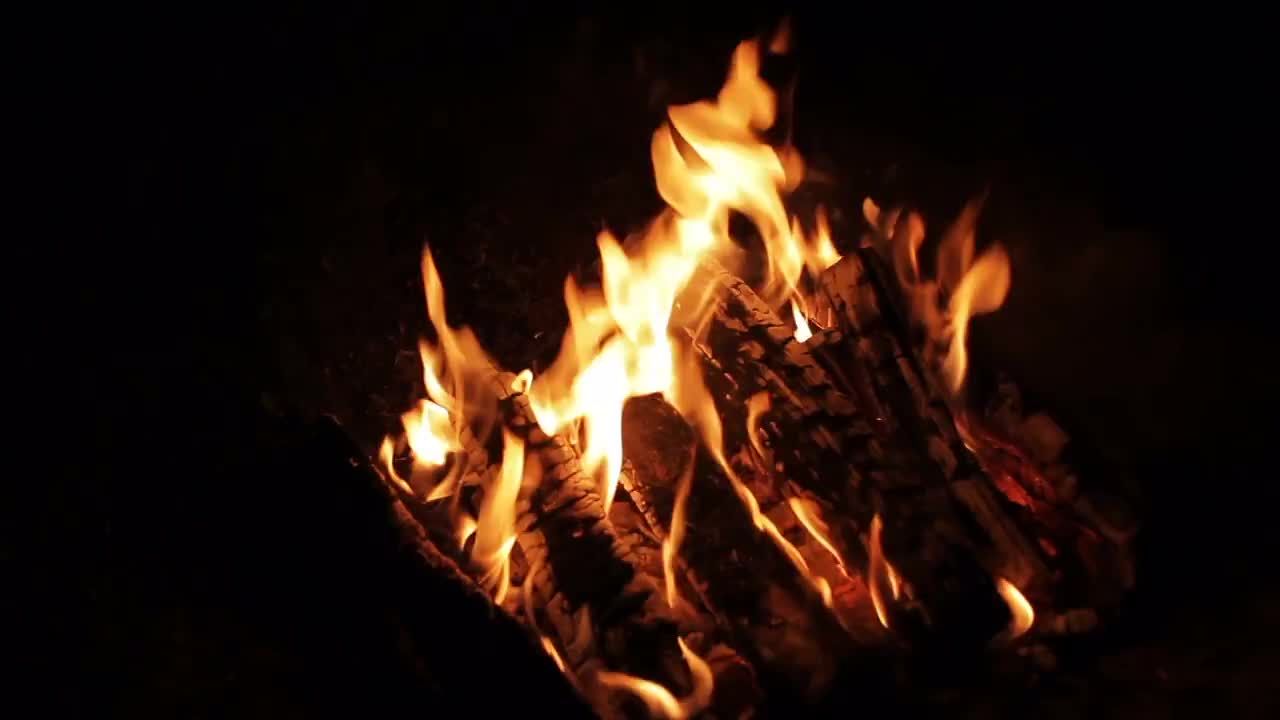 晚上篝火晚会火焰视频素材