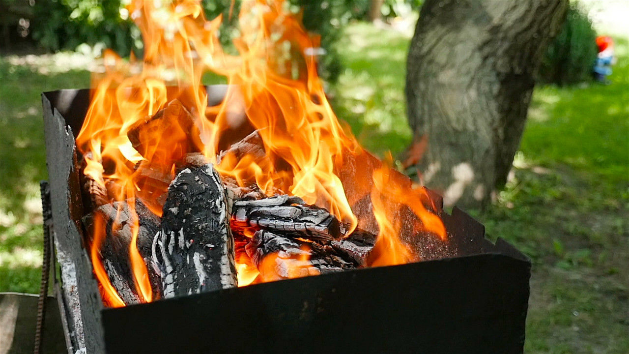 树林中燃烧的篝火实拍视频素材