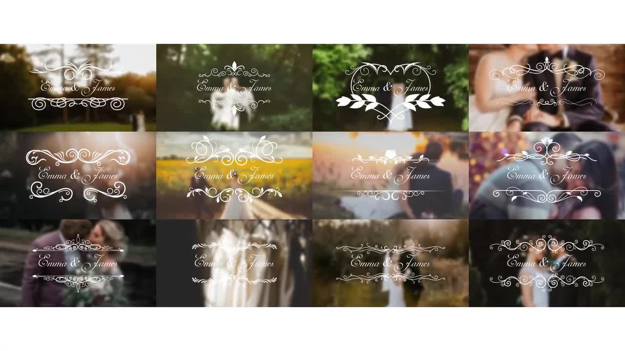 美丽浪漫婚礼视频标题特效AE模板