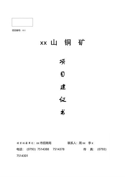 XX山铜矿项目建议书word模板