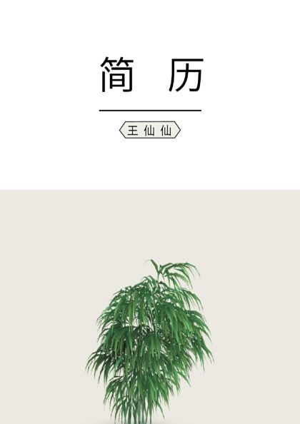 简约清新的平面设计师求职简历word模板