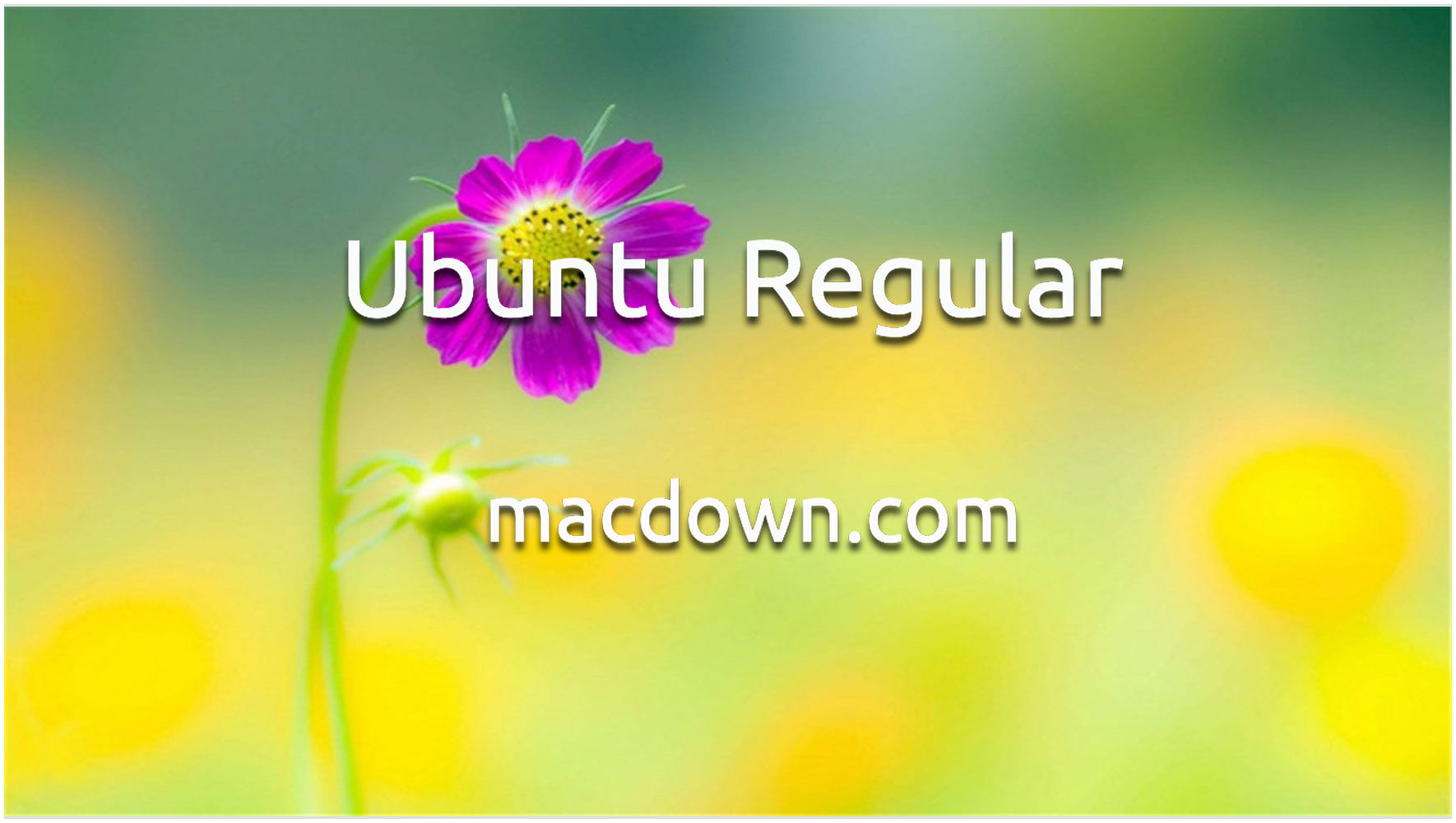 精美ubuntu英文字体