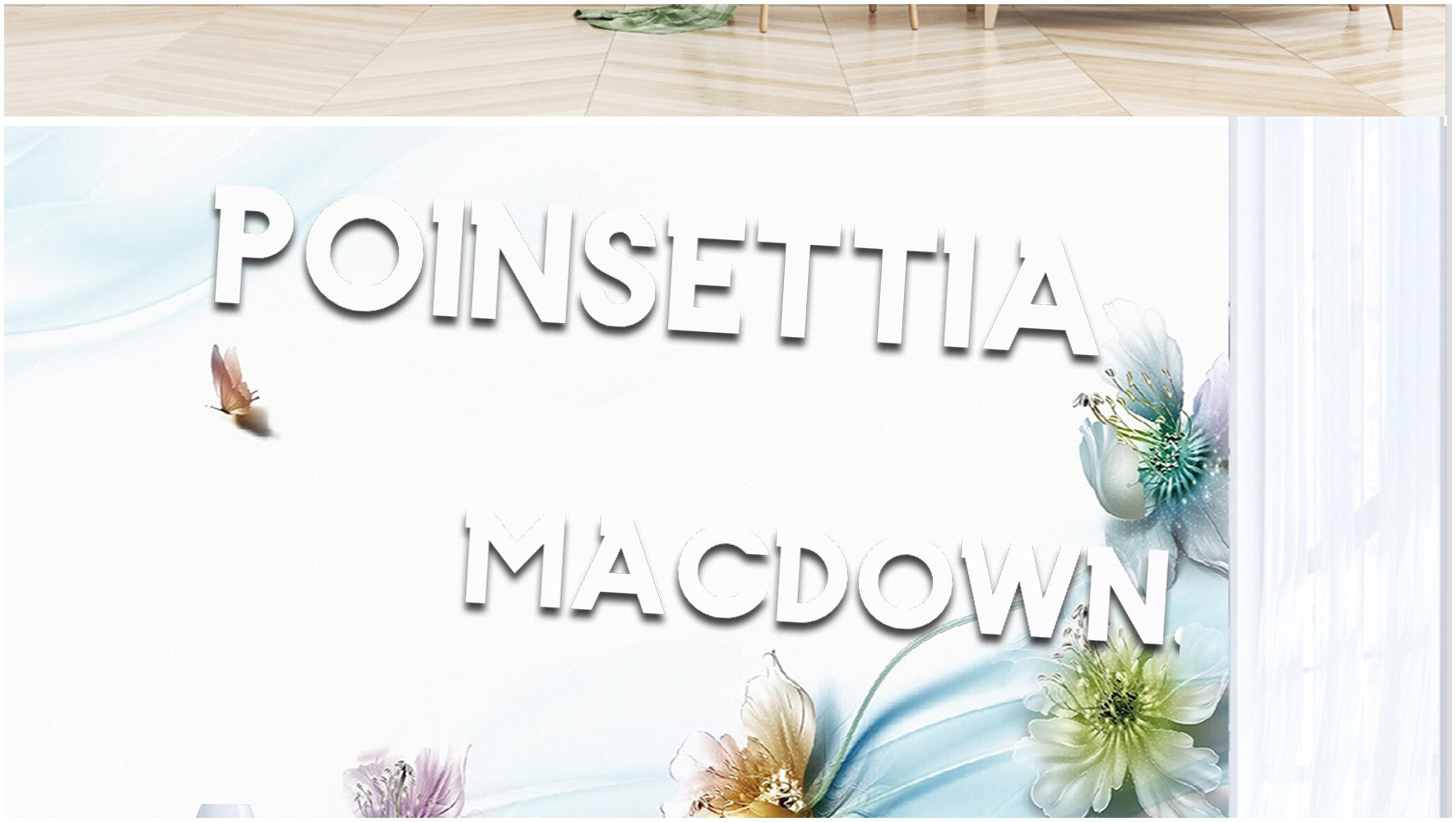 Poinsettia现代字体