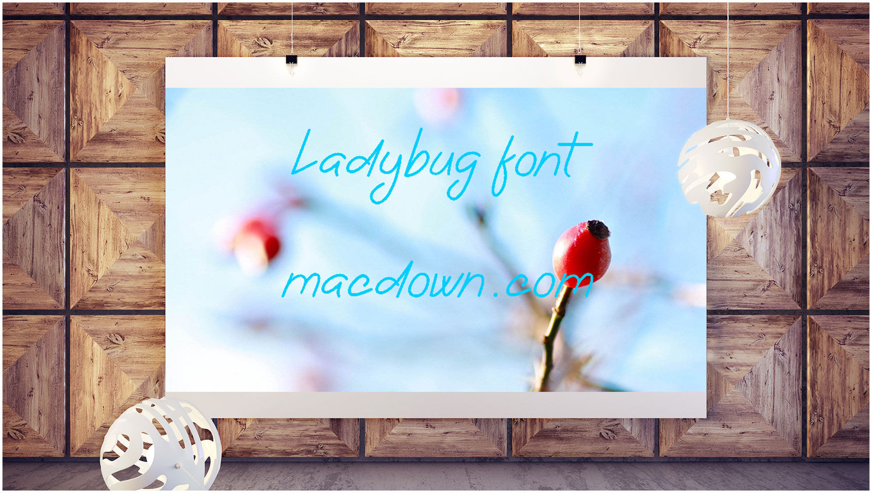 美丽独特粗体字体Ladybug