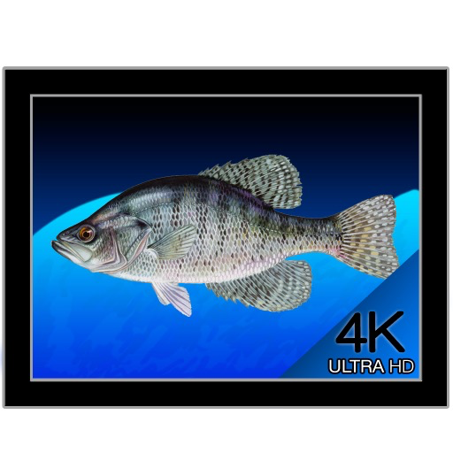 Aquarium 4K for Mac(4K海洋水族馆屏保) 