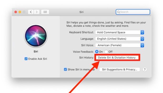macOS如何在Mac上删除Siri和听写历史记录并选择退出录音存储？