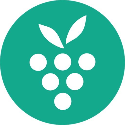 Berrycast for Mac(屏幕录制分享软件)