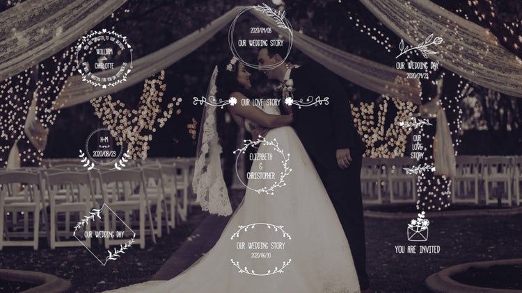 典雅婚礼标题设计时尚且动画效果简单的AE模板