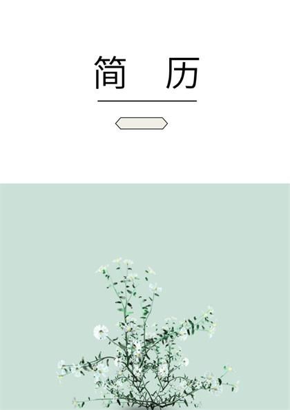 清新淡雅设计师求职简历word模板