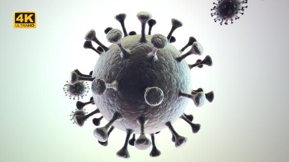 灰色冠状病毒4k视频素材
