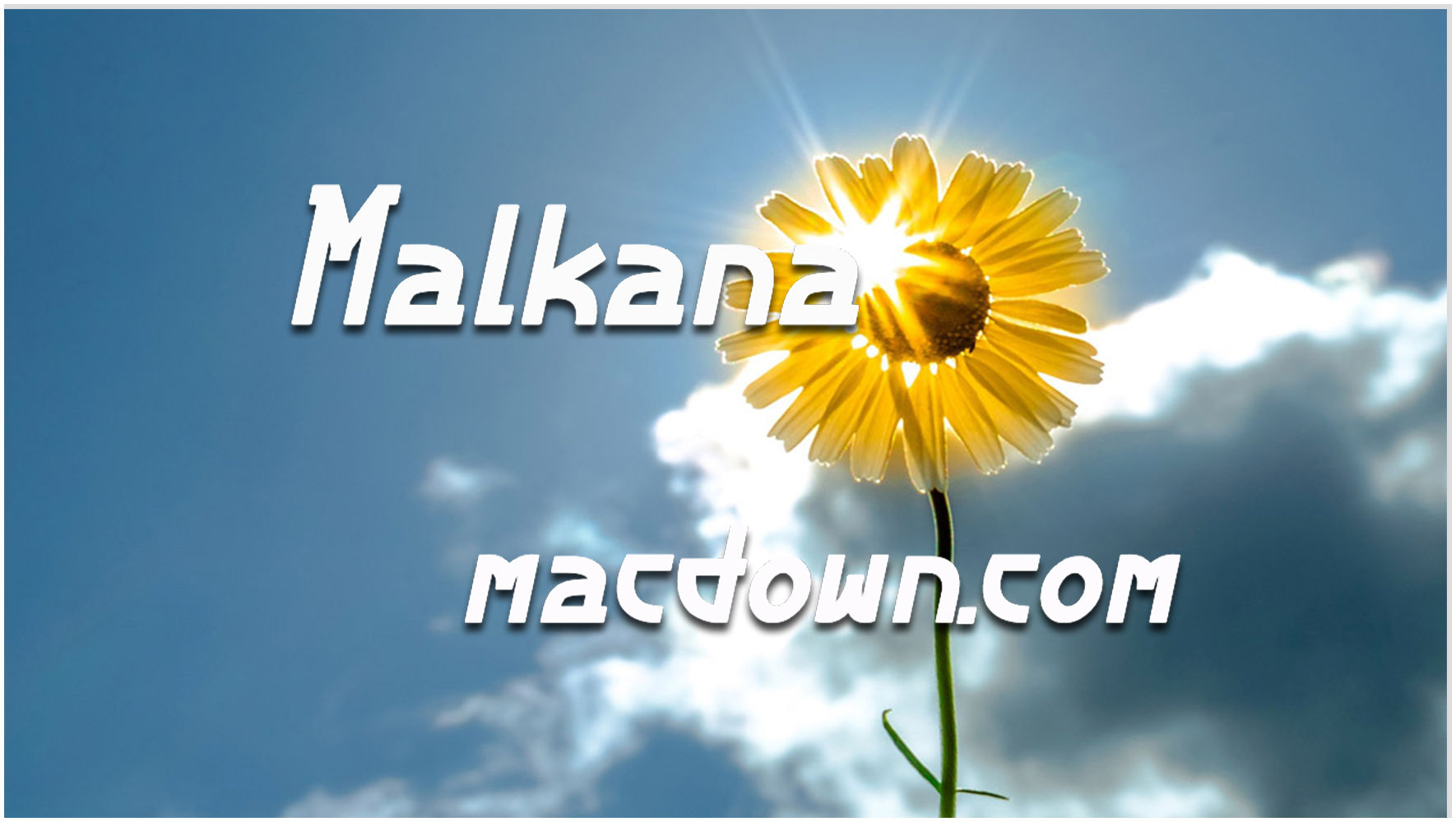 经典英文字体Malkana