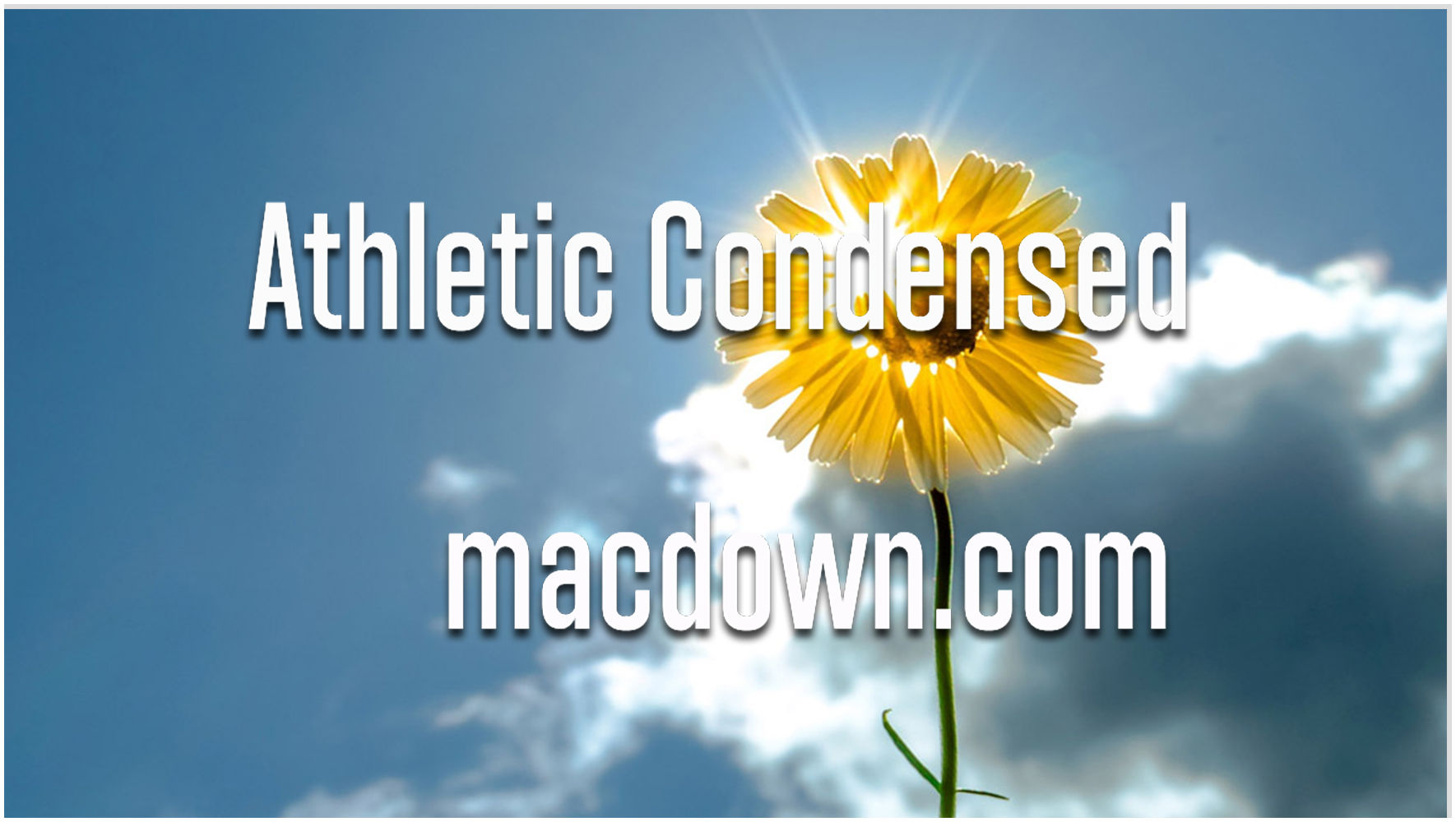 Athletic Condensed运动风字体