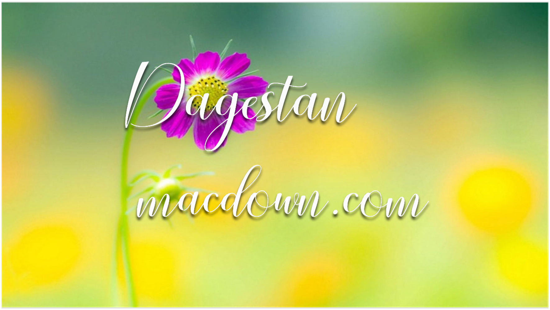 现代脚本字体Dagestan