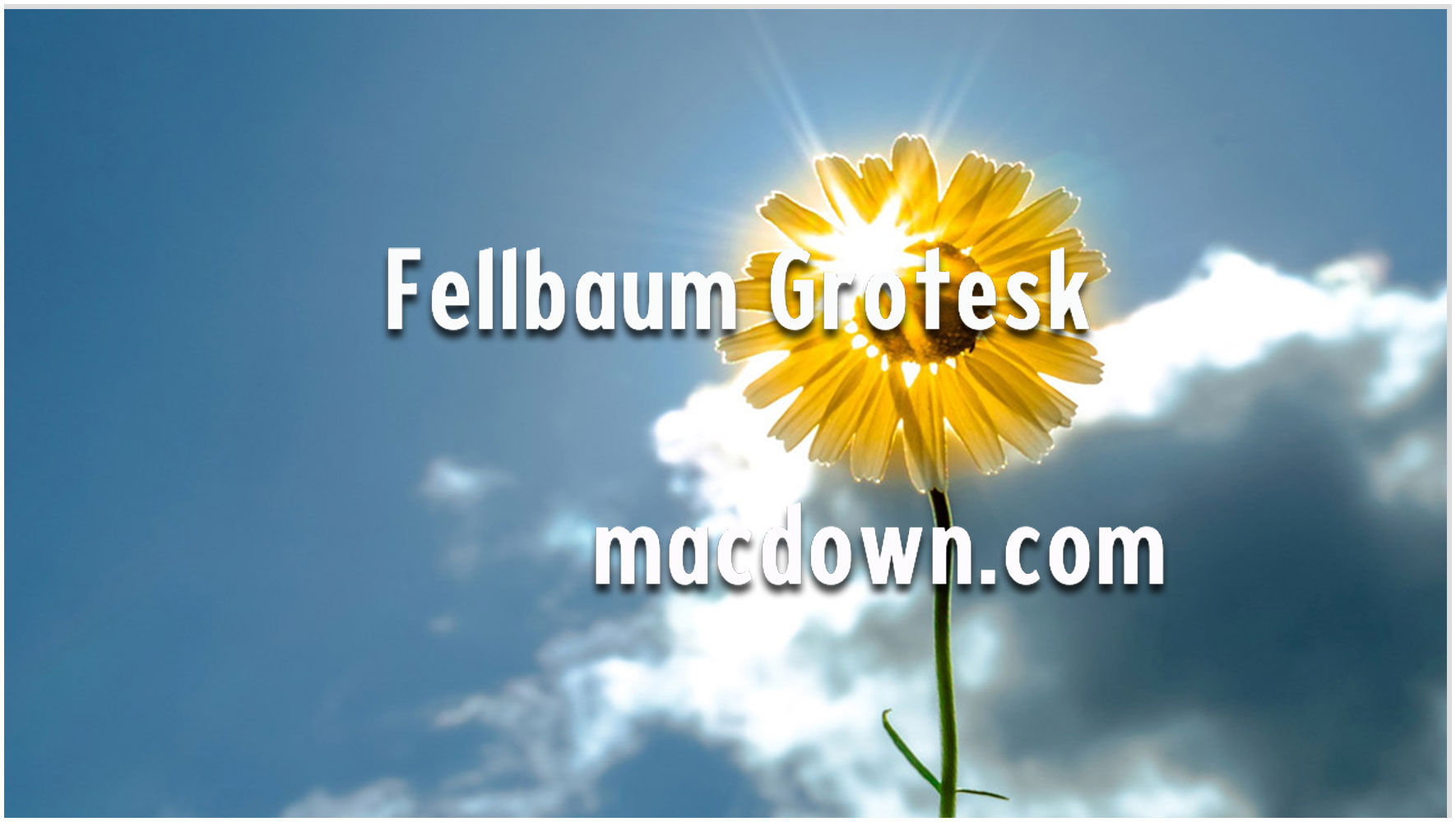 Fellbaum Grotesk精简复古设计字体 for mac