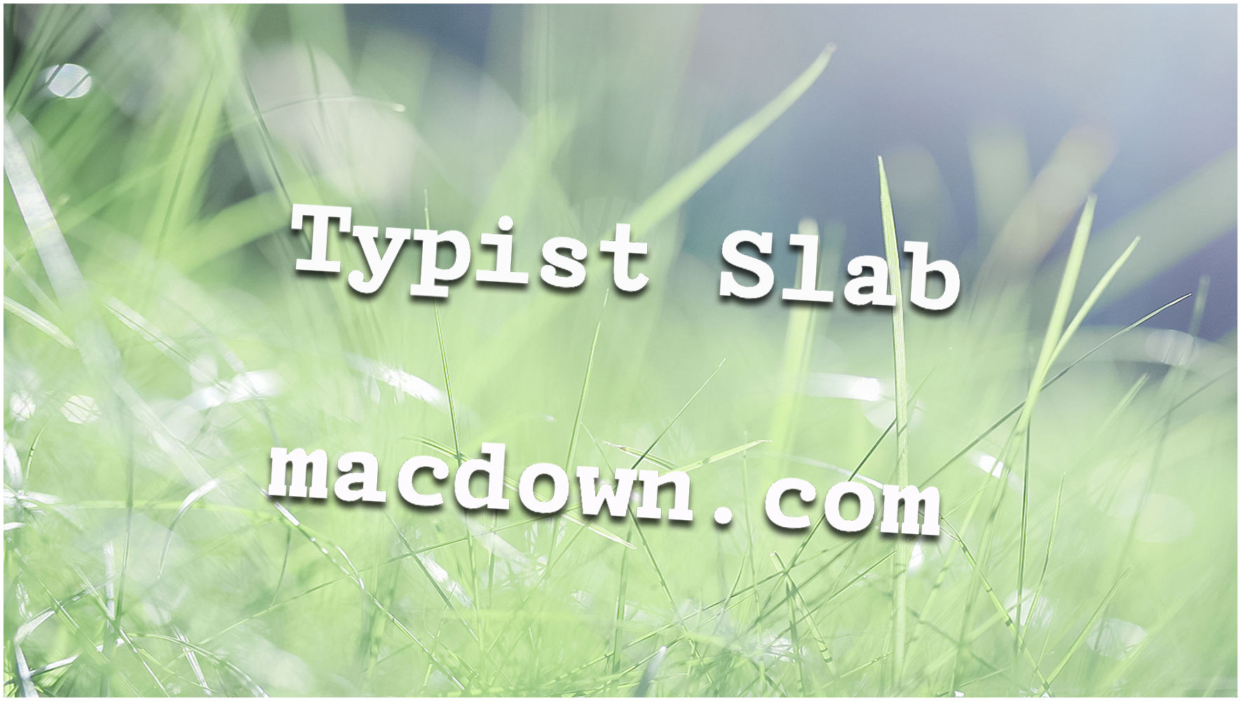 无衬线英文字体Typist Slab