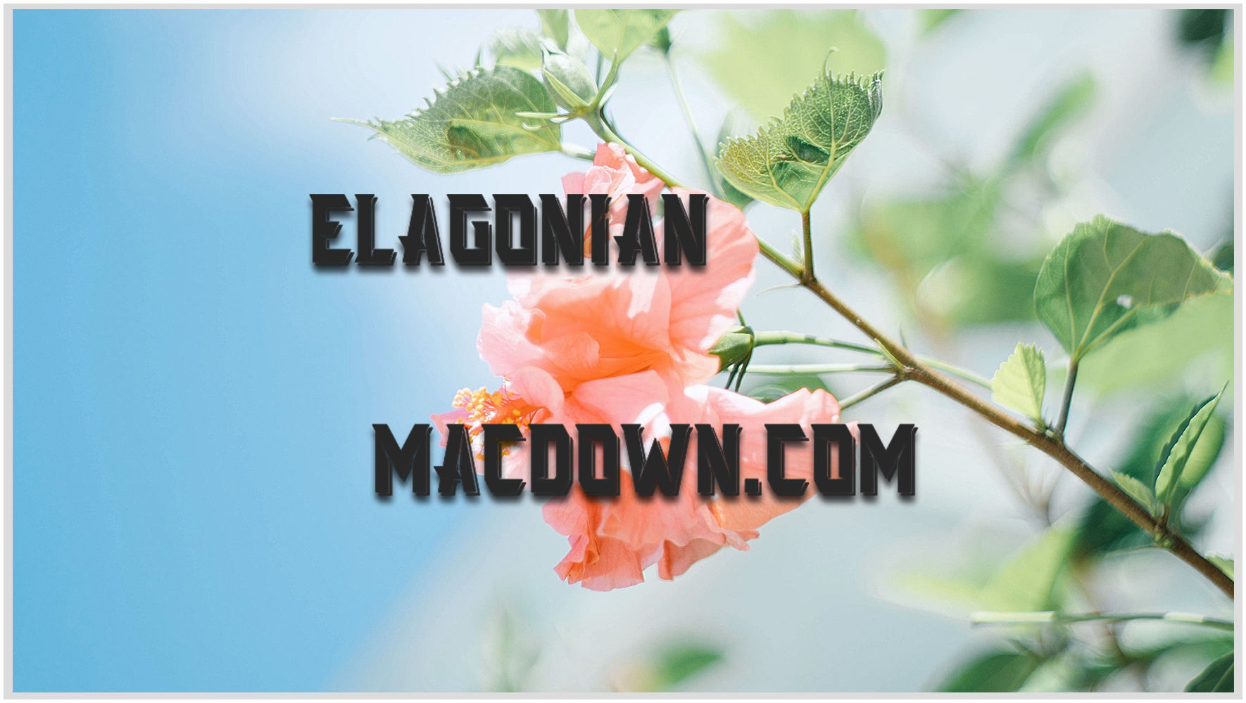 艺术字体Elagonian