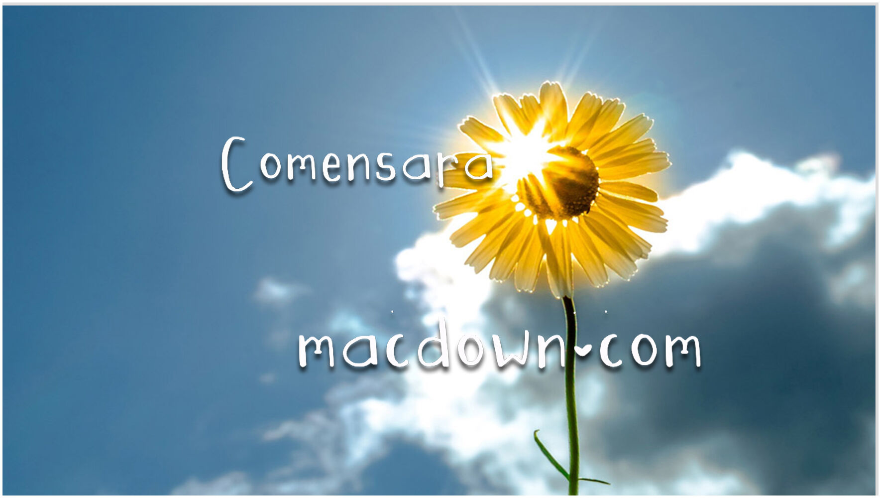 Comensara创意手绘字体 for mac