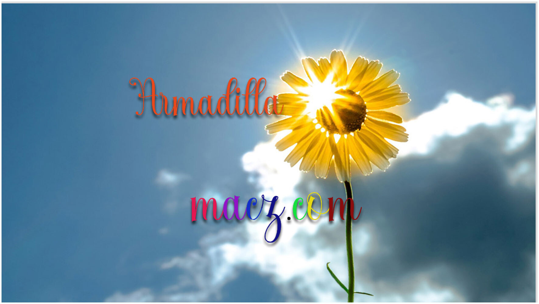 Armadilla创意剧本字体 for mac