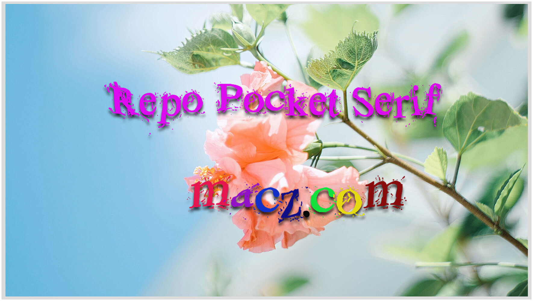 独特袖珍手工衬线字体Repo Pocket Serif