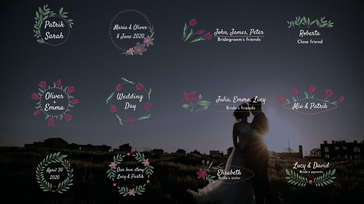 12个精美浪漫的婚礼标题AE模板