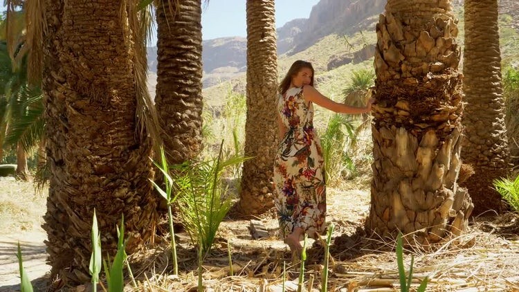 大加那利岛上靠在棕榈树上的女人视频素材