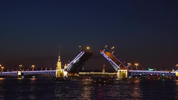 夜间圣彼得堡大桥实拍素材