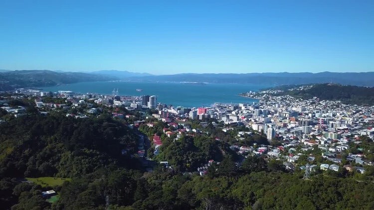 新西兰惠灵顿景观鸟瞰图视频素材
