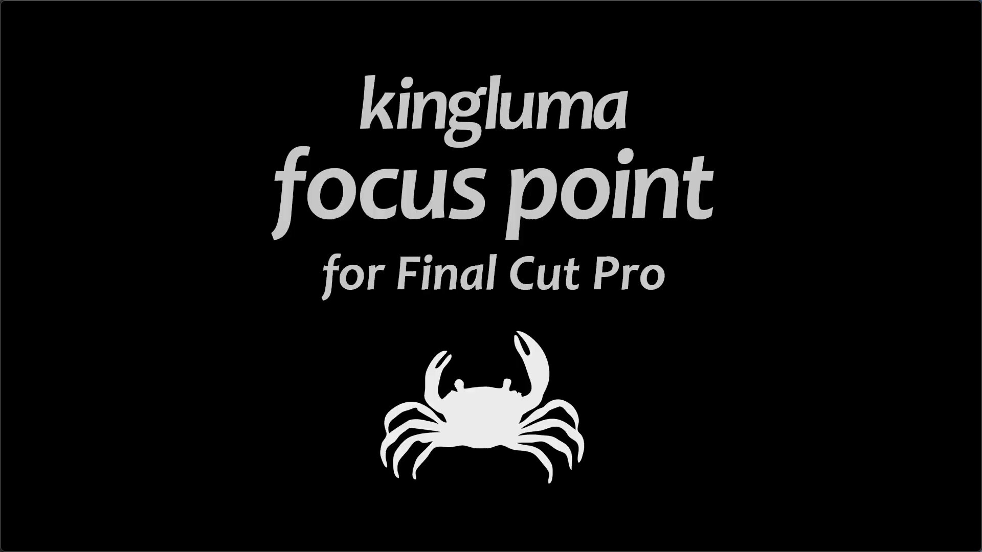 fcpx插件：Kingluma Focus Point(视频模糊效果)
