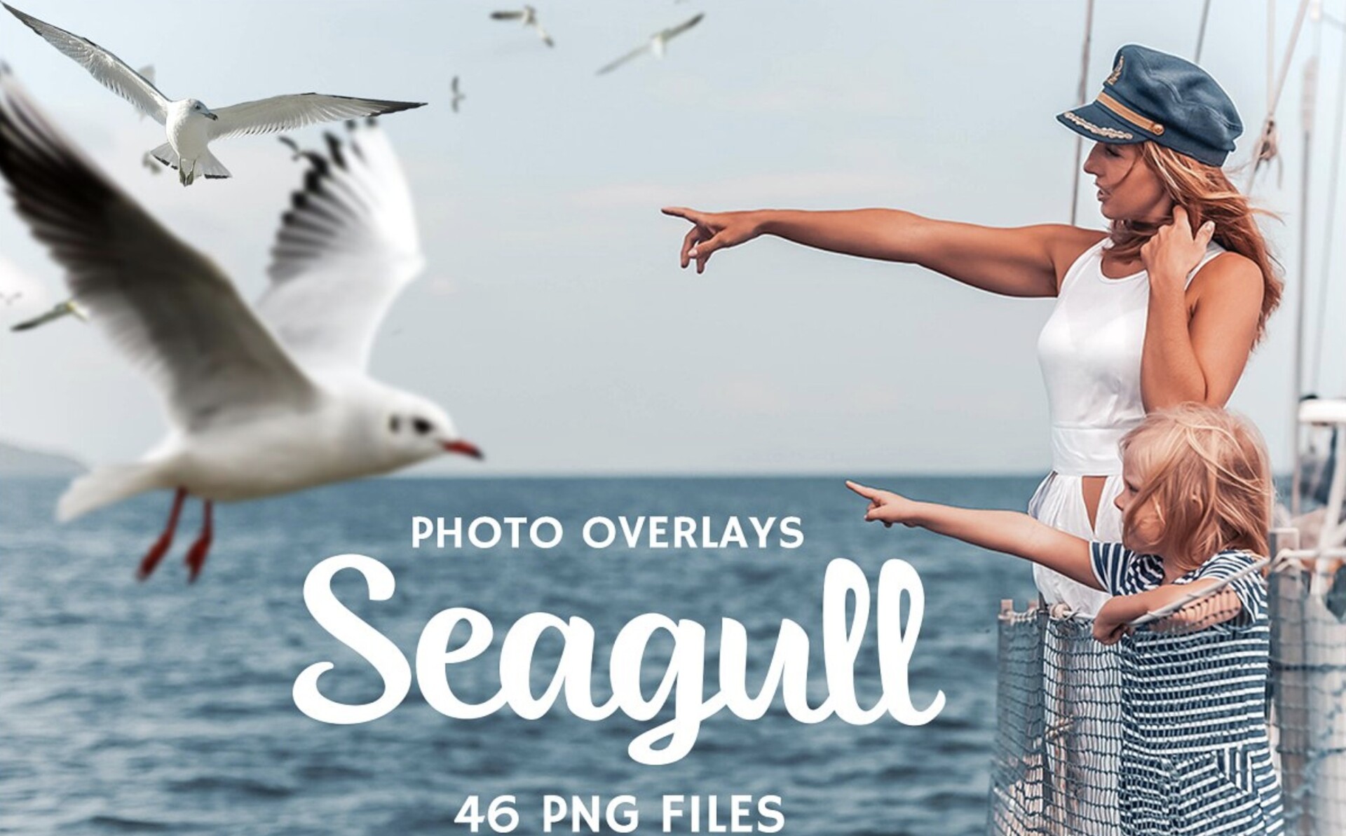 46个海鸥照片PS叠加层