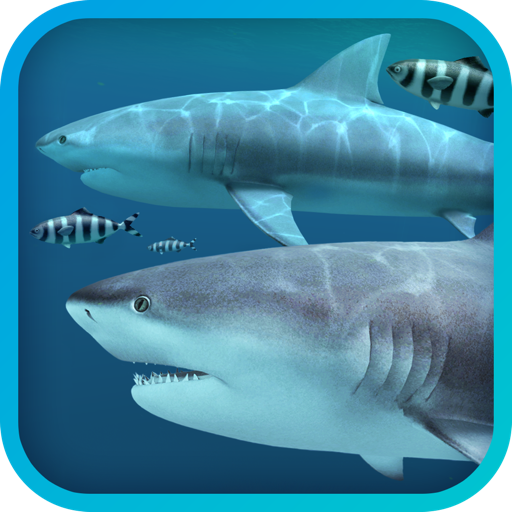 Sharks 3D for Mac(3D鲨鱼壁纸背景) 