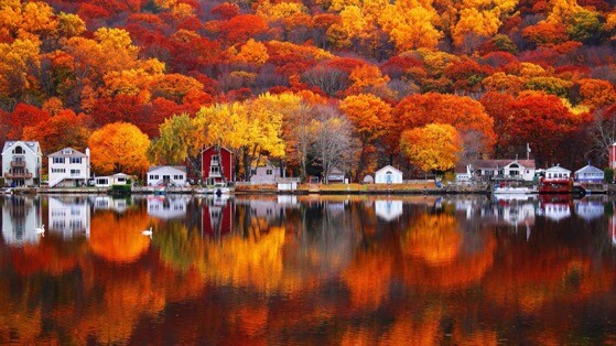 秋天的小镇景色高清动态壁纸