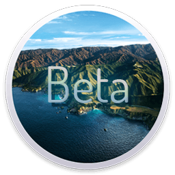 如何在Mac上下载macOS Big Sur Beta 10