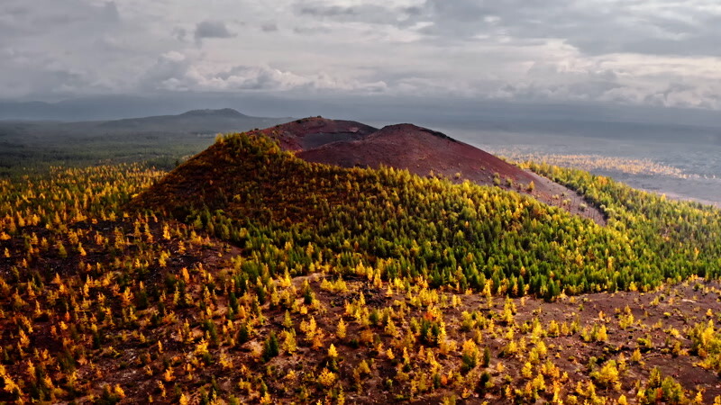 火山地区空中的黄色树木实拍视频