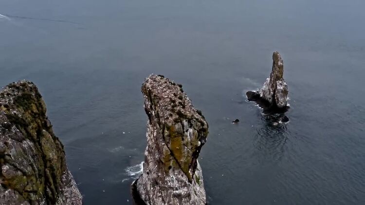 鸟类在水中的岩层中飞行脉航拍视频