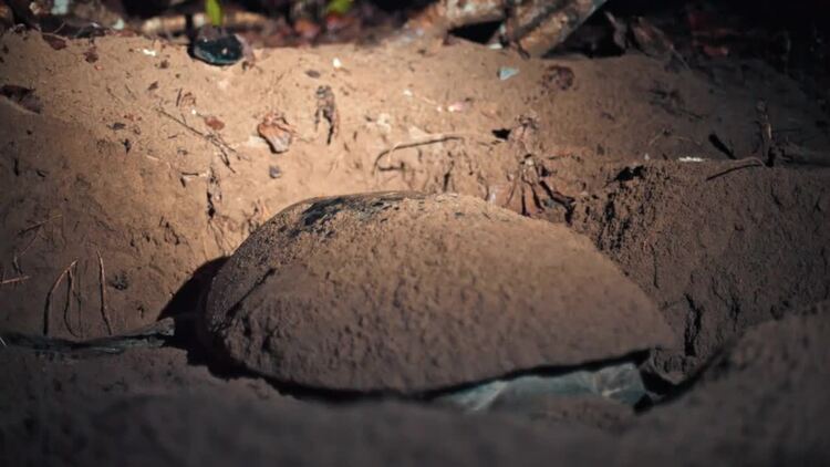 晚上在海龟海滩上挖沙子实拍视频