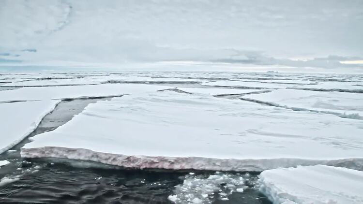 南极冰封的海洋覆盖着雪实拍视频素材