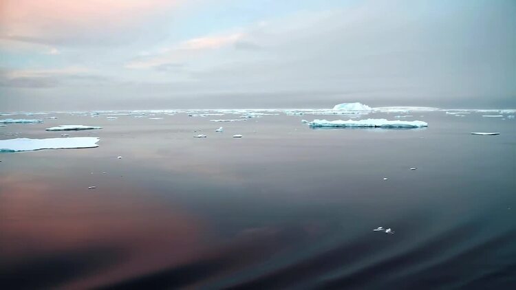 南极的冰块漂浮在海上实拍视频素材