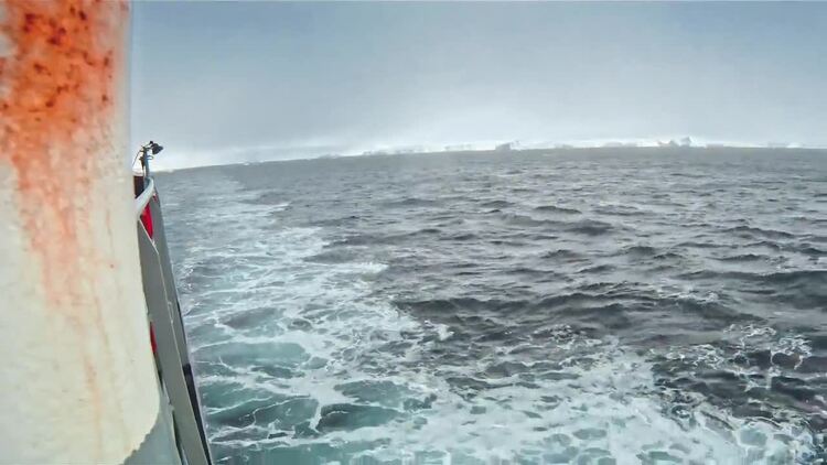 在寒冷的海水中航行实拍视频素材