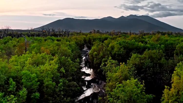 越野吉普车通过森林空中水上旅行实拍视频素材