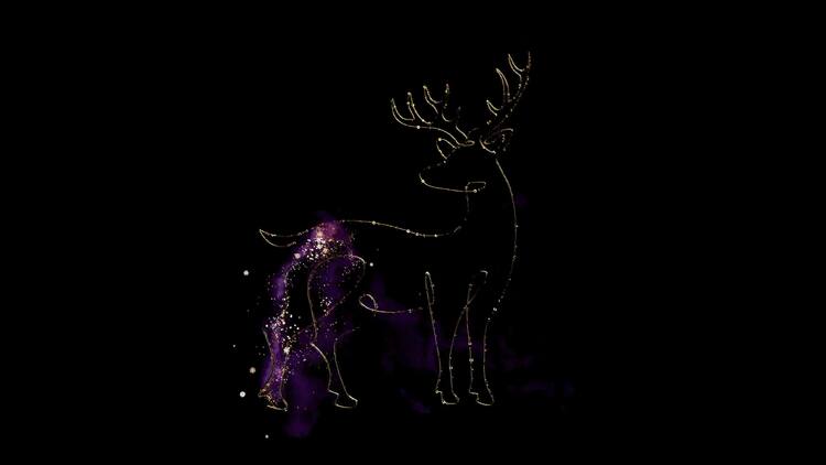 圣诞节日魔法粒子图形动画22