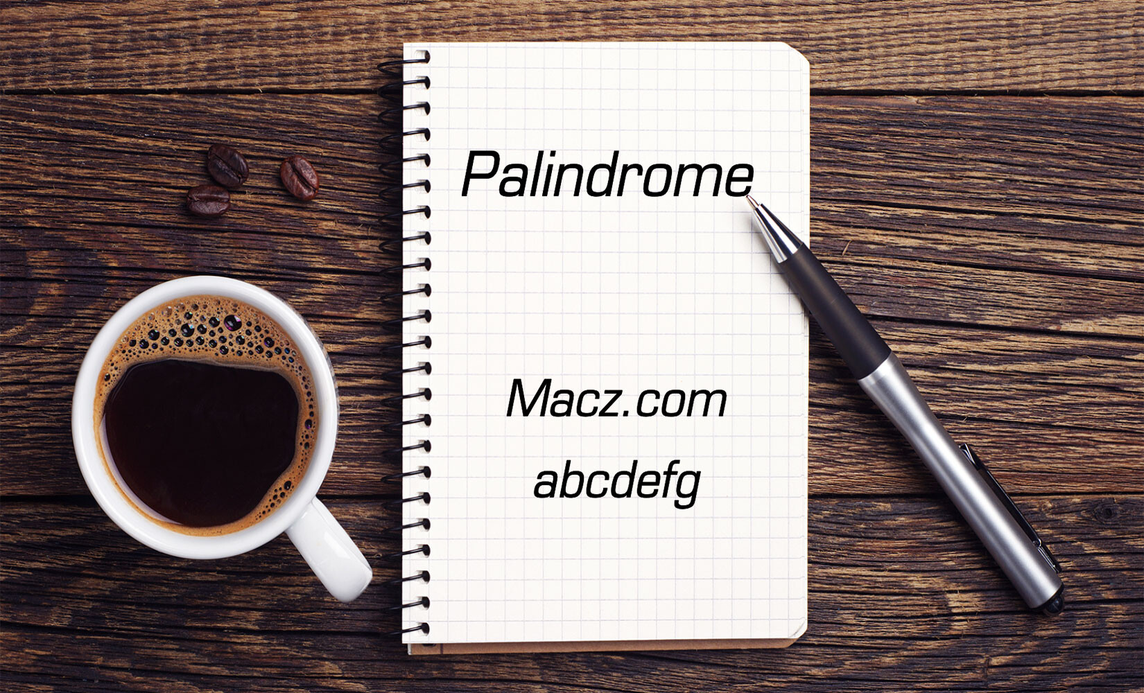 PalindromeSSi优雅简洁现代字体