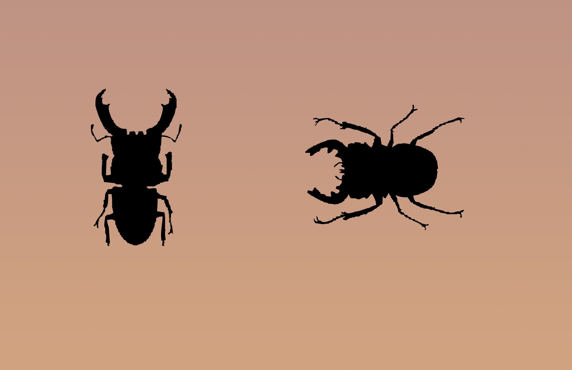 多种甲虫PS形状