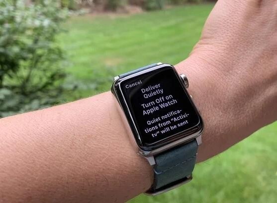 如何管理Apple Watch上的通知设置？