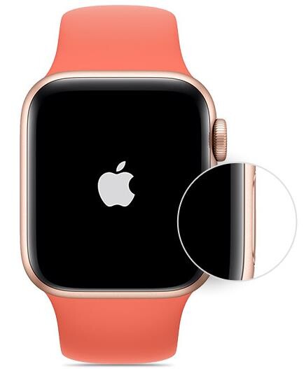 如何为家庭成员设置Apple Watch？
