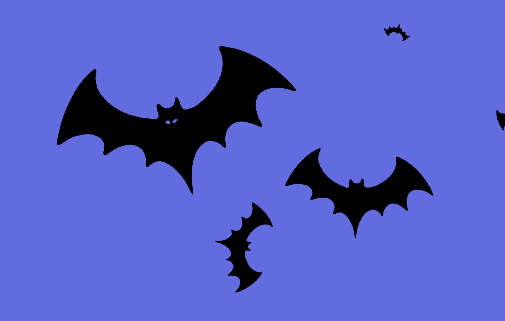 蝙蝠、巫婆等万圣节元素PS笔刷