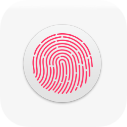 如何在 Mac 上的网站上使用 Touch ID 作为密码？
