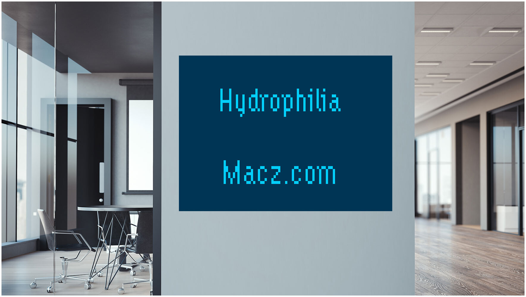 徽标宣传设计字体Hydrophilia
