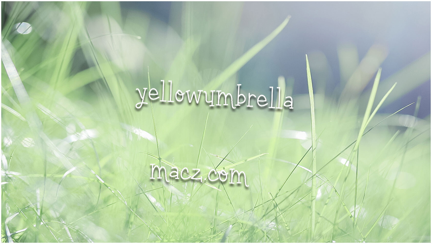 时尚艺术字体yellow umbrella