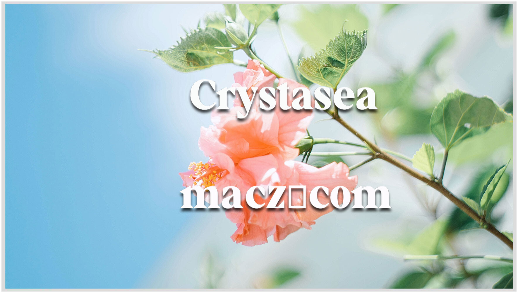 Crystasea现代粗体衬线字体